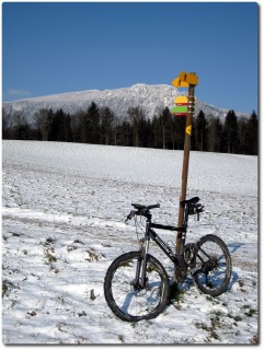 Kühles Wintermärchen...