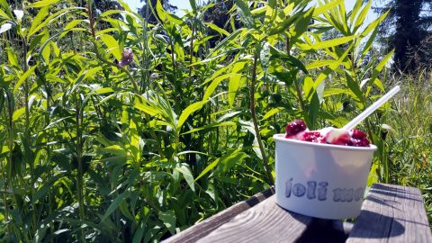 Frozen Joghurt im Klostergarten