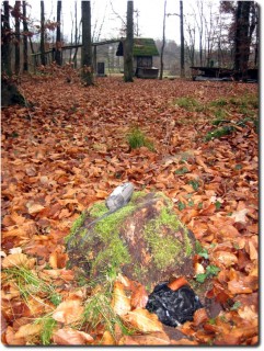 Cache im Mösli an der Aare