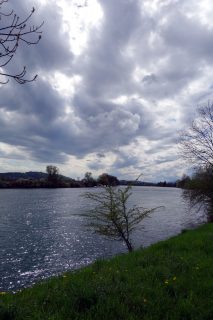 Aare im April 2016