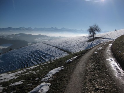 Abfahrt nach Langnau mit toller Aussicht