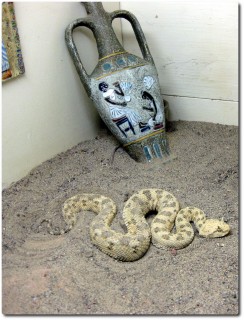 American International Rattle Snake Museum