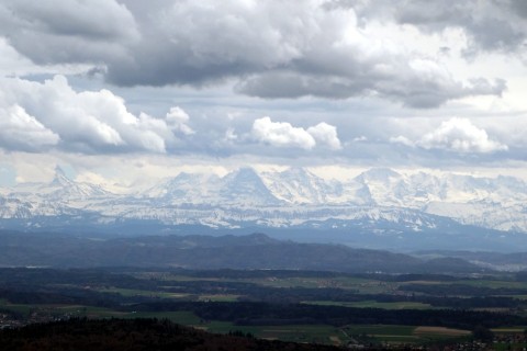 Alpenblick vom Jura