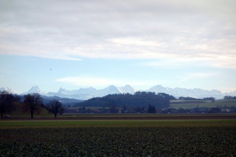 In den Alpen ist es schöner...