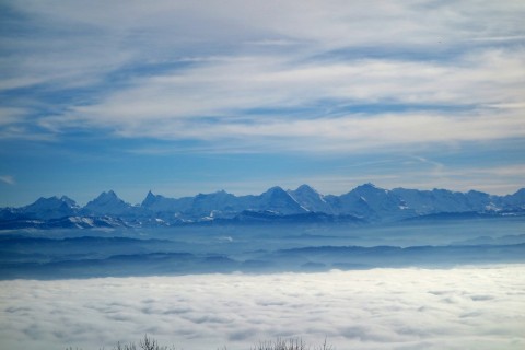 Berner Alpen über dem Nebel