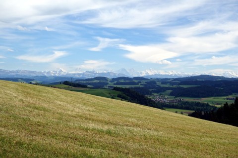 Alpen und Wiesen