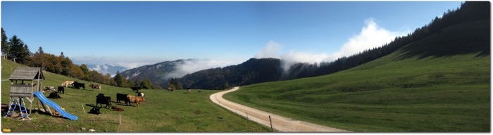 Panorama Althüsli