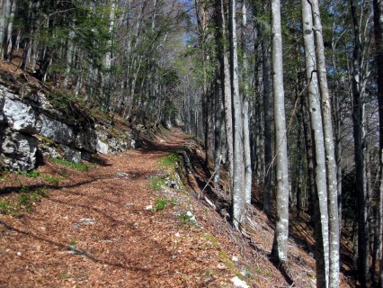 Aufstieg Grandval - Mont Raimeux - Historische Strasse