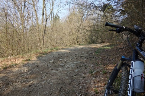 Toller Aufstieg auf einer Forststrasse