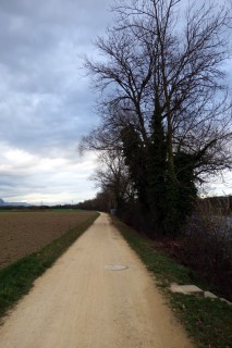 Entlang der Aare mit Rückenwind