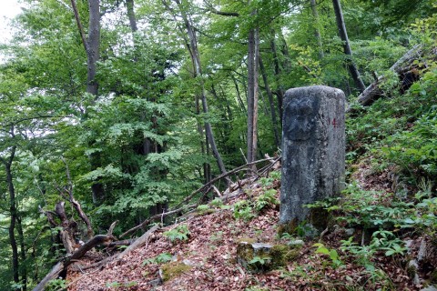 Grenzstein auf dem Bachtelenberg