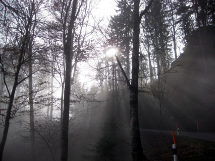 Nebelgrenze im Aufstieg zum Balmberg