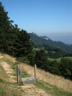 Trail runter vom Stierenberg