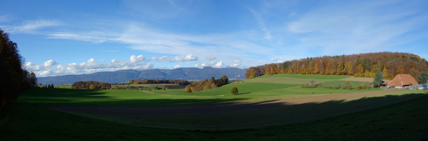 Blick in Richtung Jura