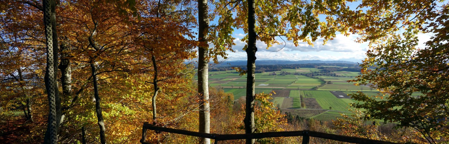 Herbstimpressionen über dem Limpachtal