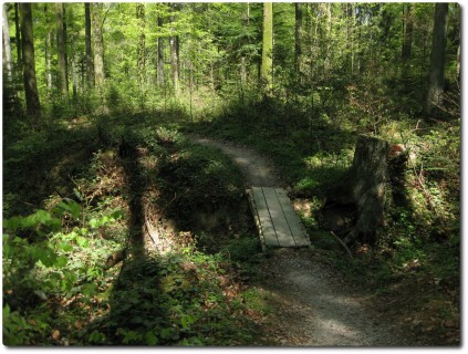 Trail durch den Buechibärg