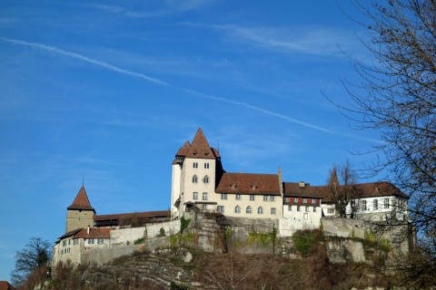 Schloss Burgdorf