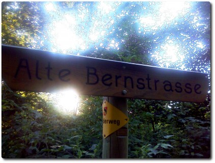 Alte Bernstrasse