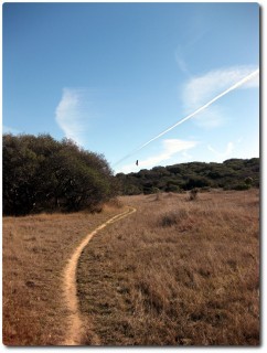 Trail, Adler und Flugzeug...