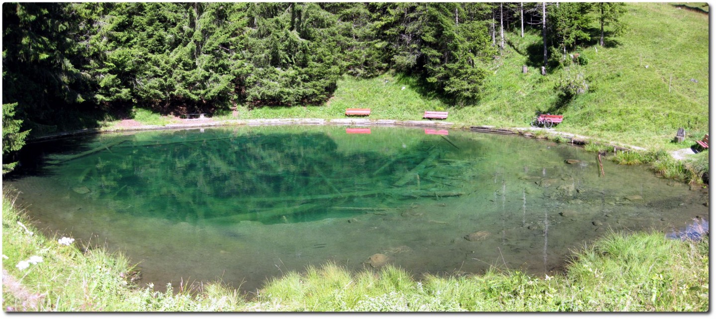 Blauseeli auf der Grimmialp