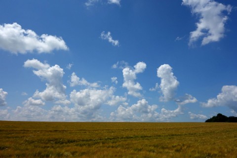 Schönes Wetter - ein Wunder!