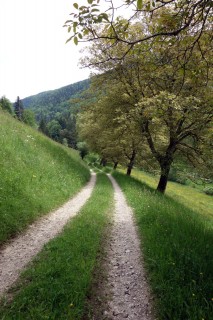 Feldweg runter ins Bogental