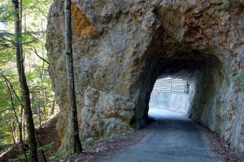 Tunnel unterhalb des Brüggli