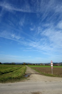 Zwischen Bern und Thun übers freie Feld