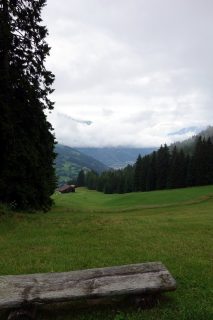 Ausblick bei Bühl