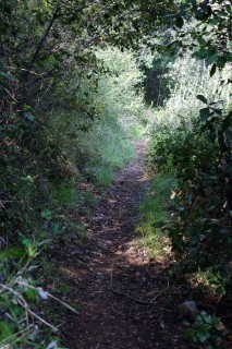 Knifflige Trails am Monte Caprazoppa