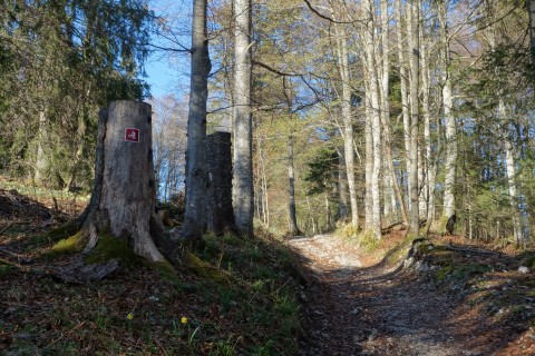 Aufstieg auf alten Jurawegen