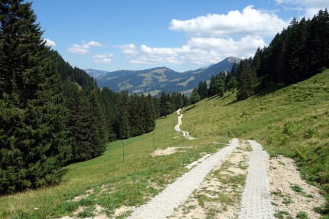 Steiler Weg bei Chesalette