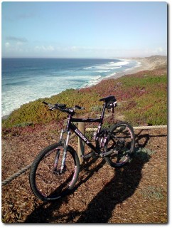 Delfine - Point Meeresblick mit Bike