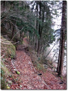 Trail am Südufer des Alpnachersees