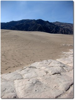 Impressionen Mesquite Flats