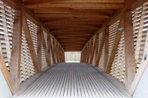 Holzbrücke Emme