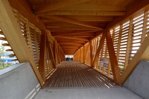 Holzbrücke über die Emme