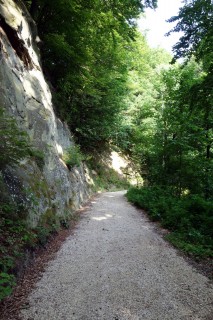 Waldstrasse beim Eyberg