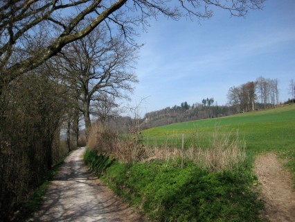 Heckenweg zum Ferenberg