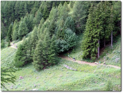 Flowtrails durch die Wälder von St. Moritz