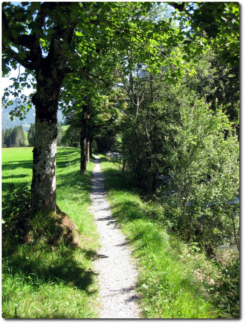 Trail entlang der Fildrich im Diemtigtal