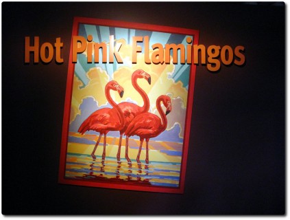 Monterey Bay Aquarium - Flamingo Sonderausstellung