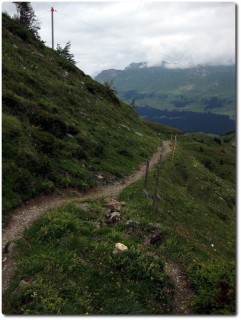 Flowtrail Piz Scalottas - Alp Stätz