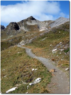Trail hoch zum Btta di Forcola mit Murmelisperre