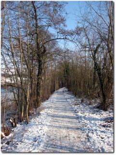 Emmentrail im Winter