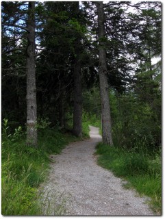 Spassiger Trail - Graubünden Bike 90