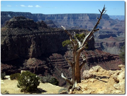 Grand Canyon - An der Abbruchkante