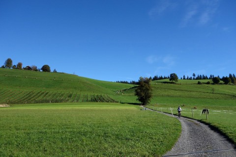 Aufstieg zur Lüderenalp - Gibel