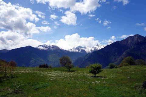 Frühlingswiese ob Grandhoelw