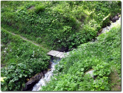 Kleiner Brücke auf dem grünen Trail